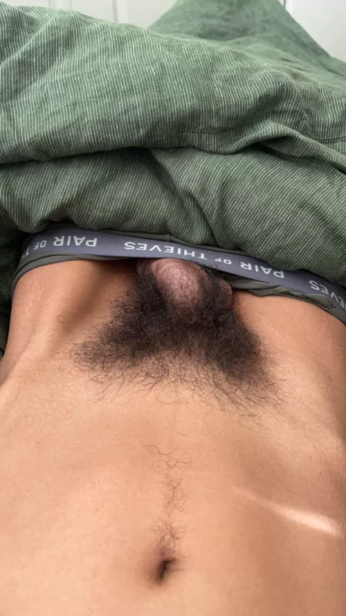 My bush in the morning