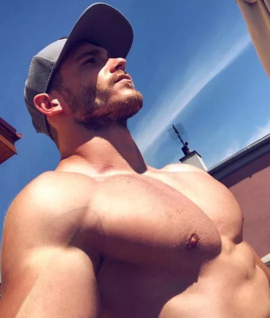 “Petr Hollesch” …