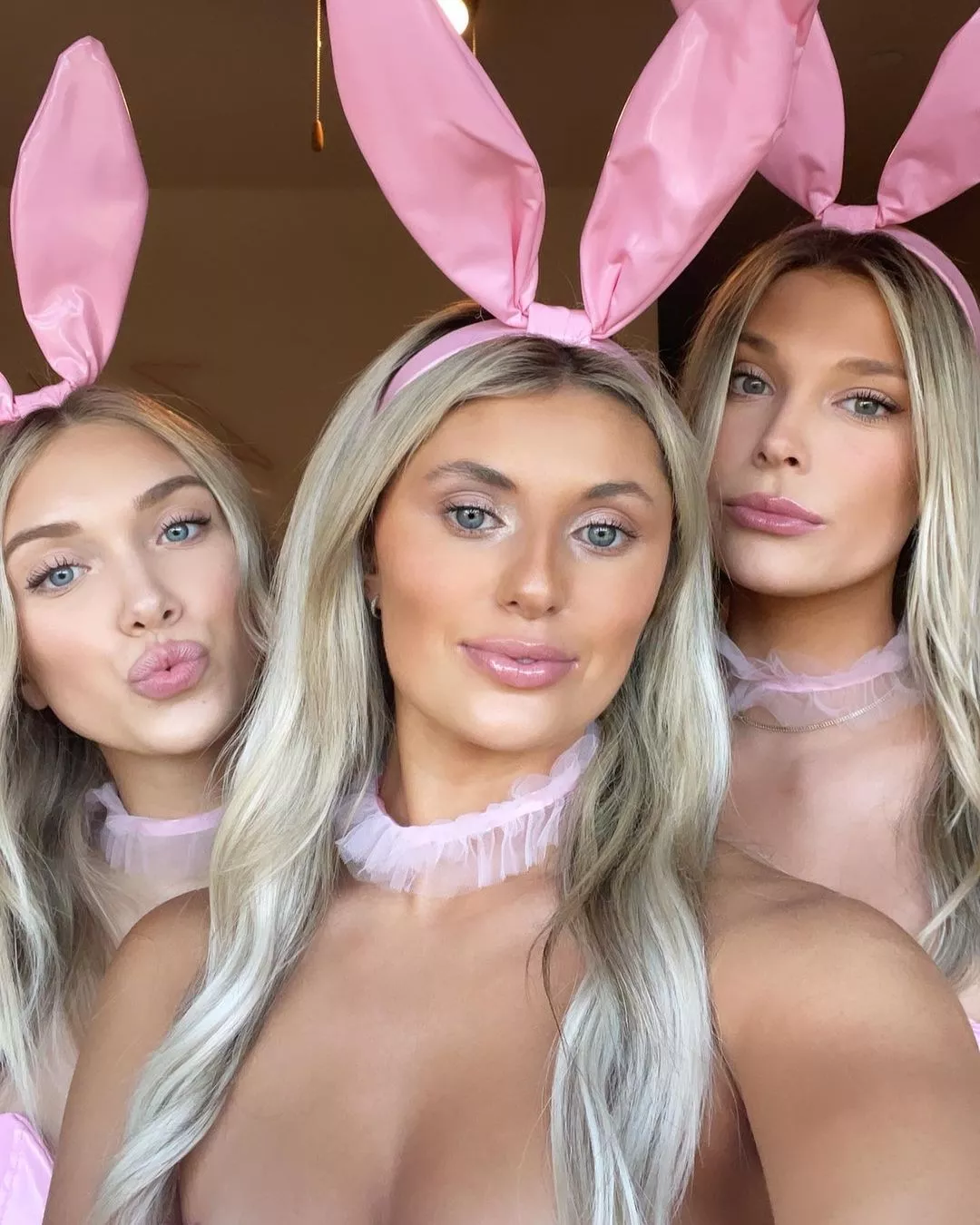 Pink bunnies