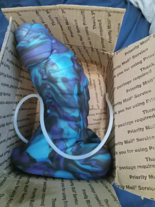 Succesful rehoming xl flint from u/Zaphora13