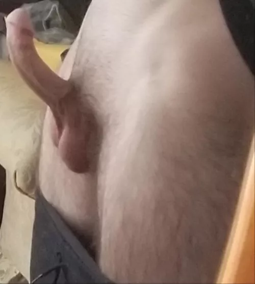 Thoughts on the curve?