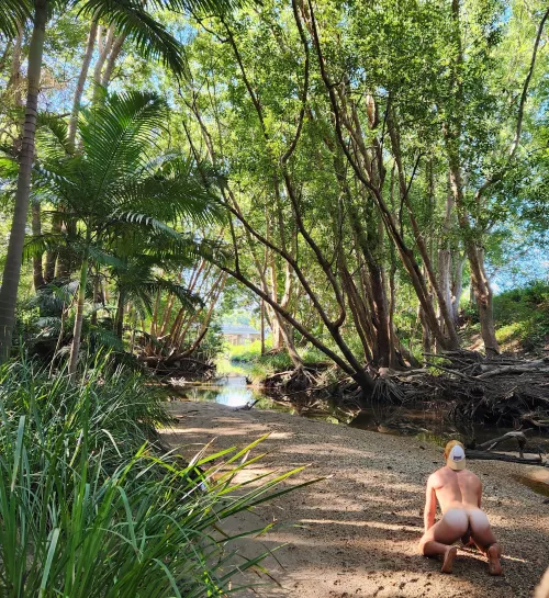 Waiting for Tarzan to swing by