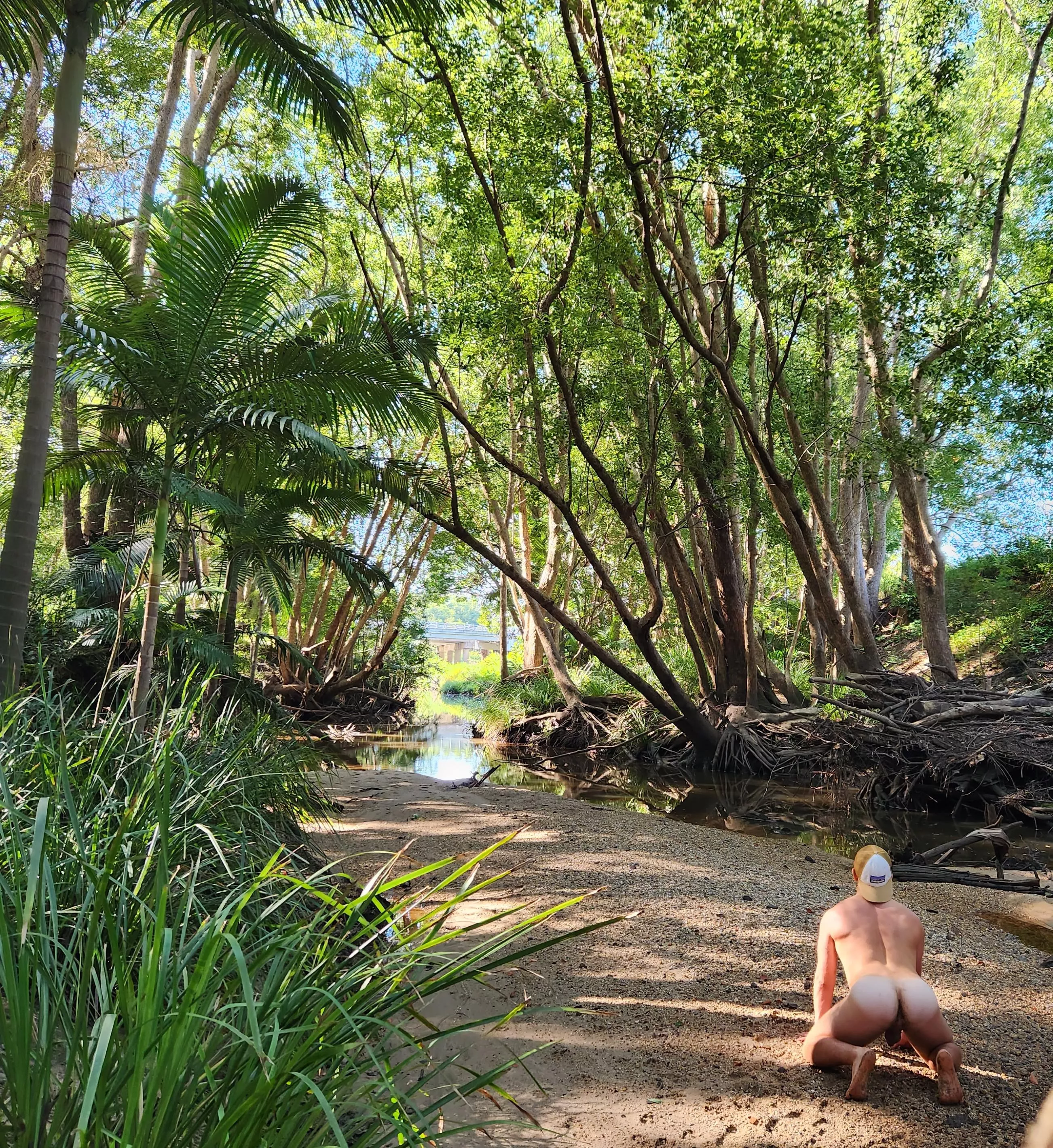 Waiting for Tarzan to swing by