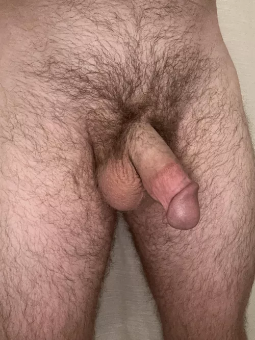 What do you think about my cut cock?