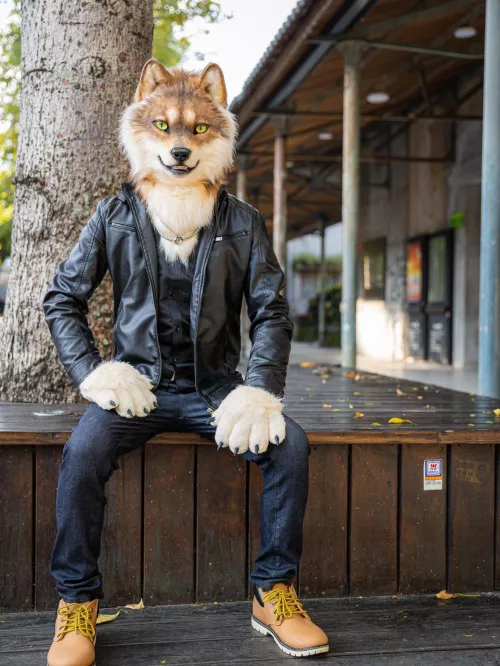 Woof woof(twitter:Oga_wolf)