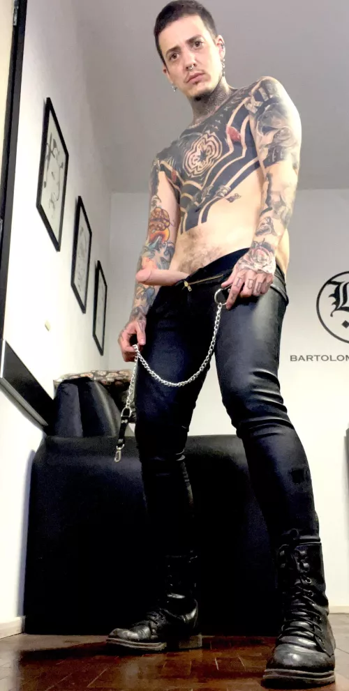 You’ve waited all day for those workouts that you love so much, but... have you been a good enough dog?