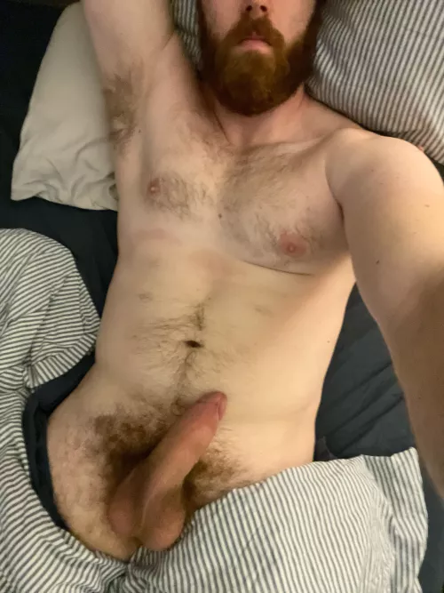 29, 6’5”, bi and want to please you with my thick beard, thick cock, or fat ass. Which one do you want?!