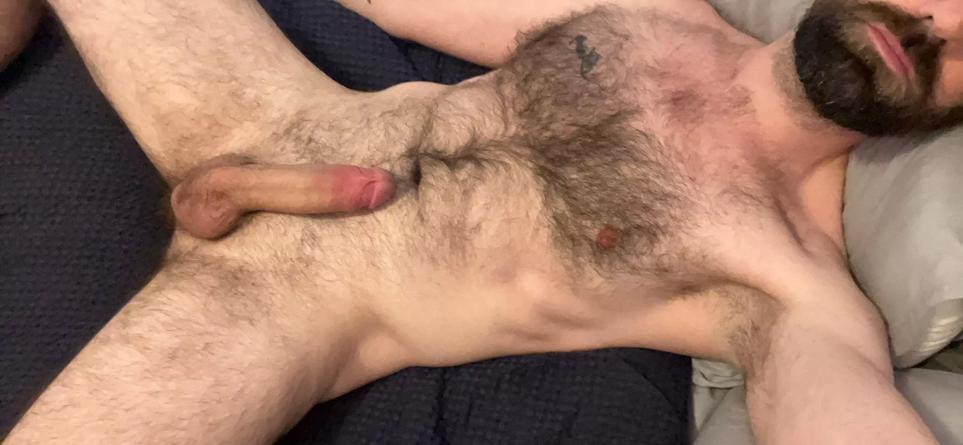 [39] What would you like to stroke first?