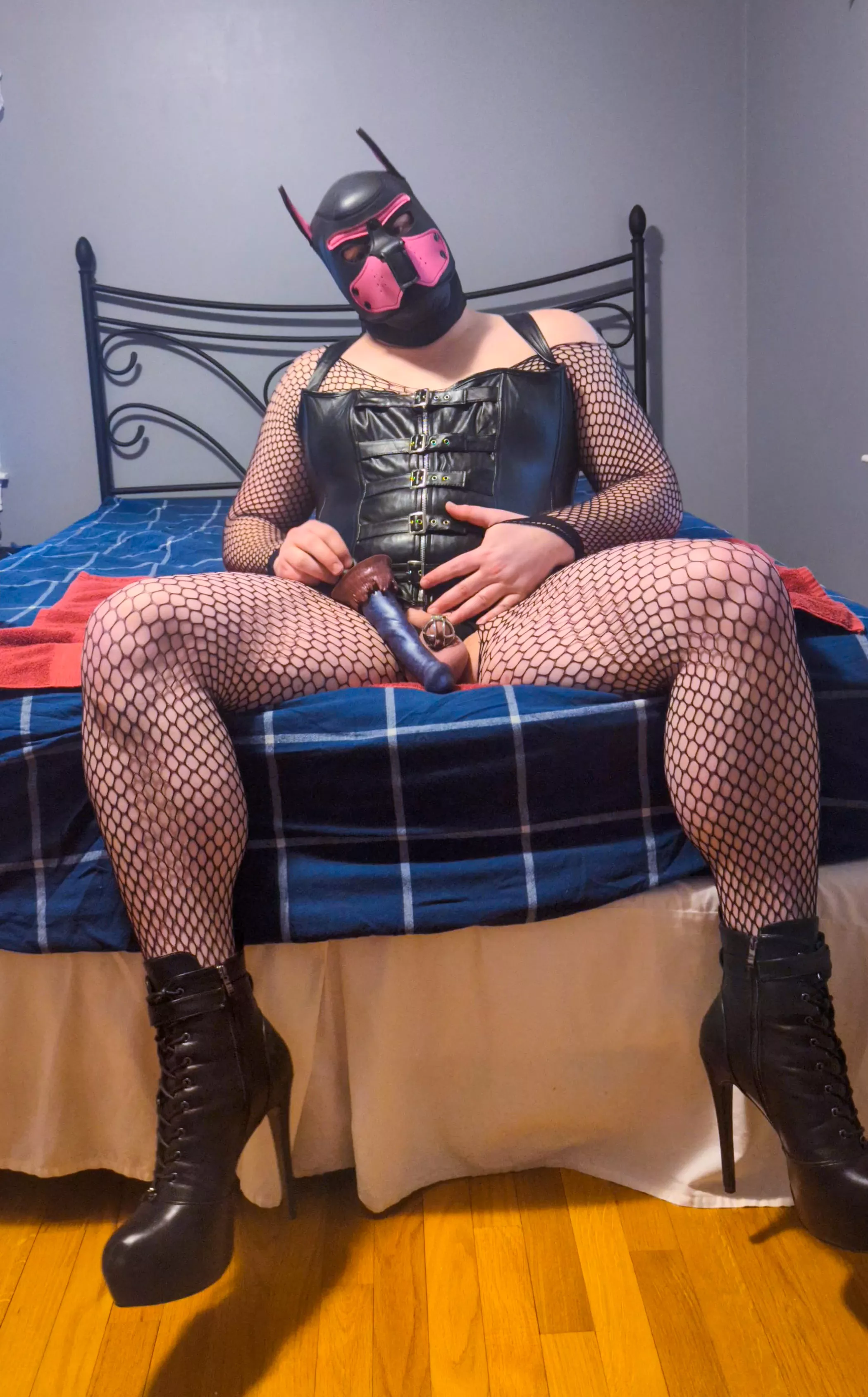 A locked up pup is a horny pup