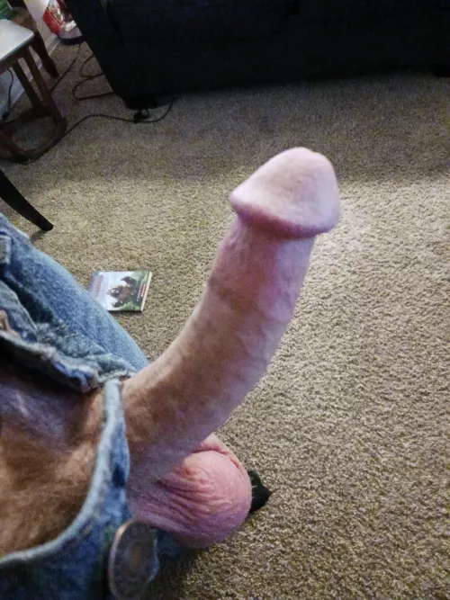 Any bros like older dick?? [49]