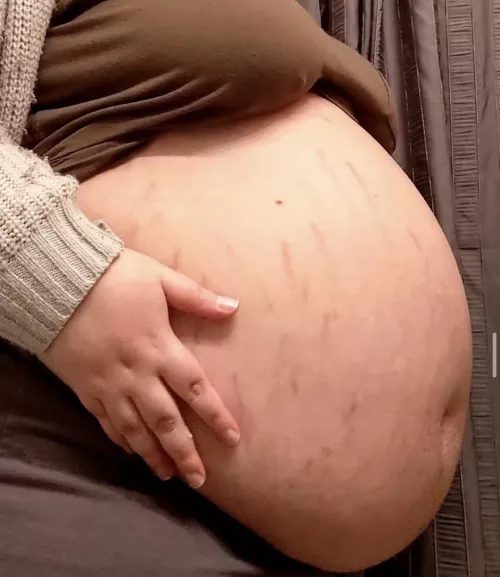 Any feeder care to give me some belly rubs 🐷🥰