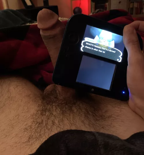 anyone else own a 2DS or am I the only one