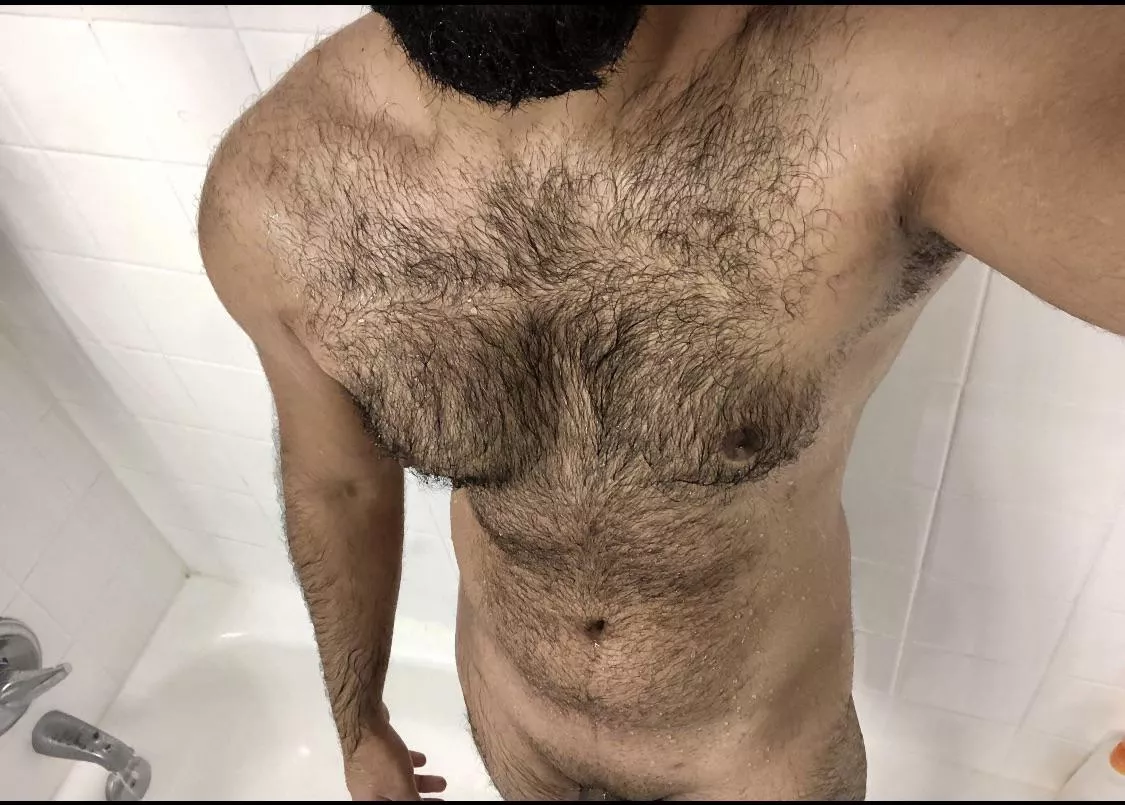 Can I be your fuzzy daddy?