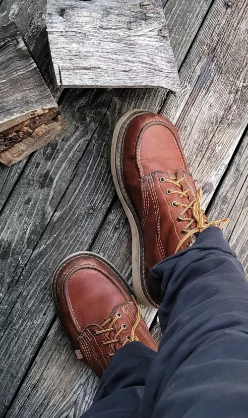 Carolina Amp USA about a year in