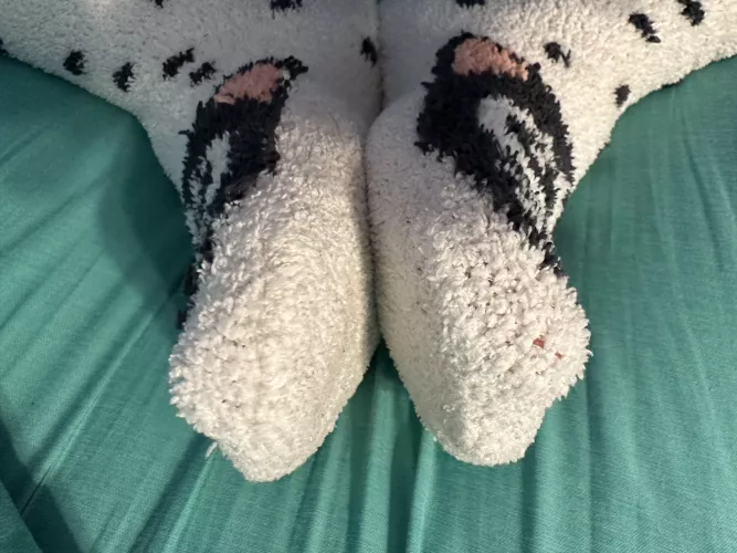 Fuzzy socks for Sunday morning. F