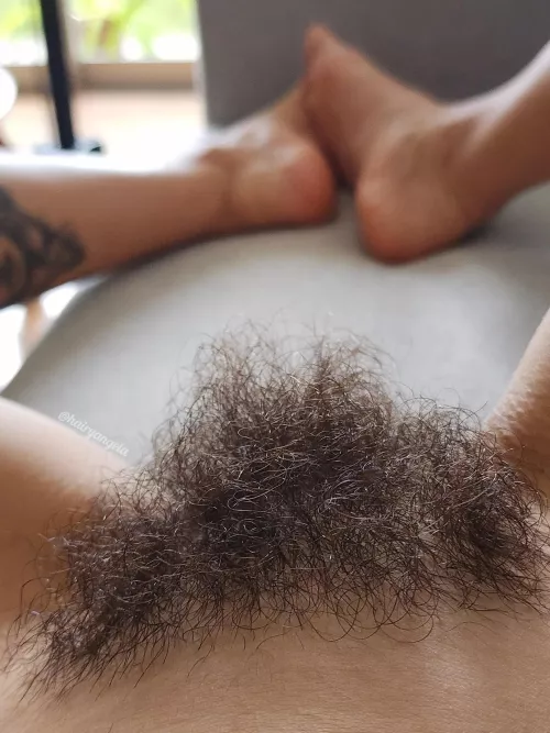 Hairy enough to tickle your nose