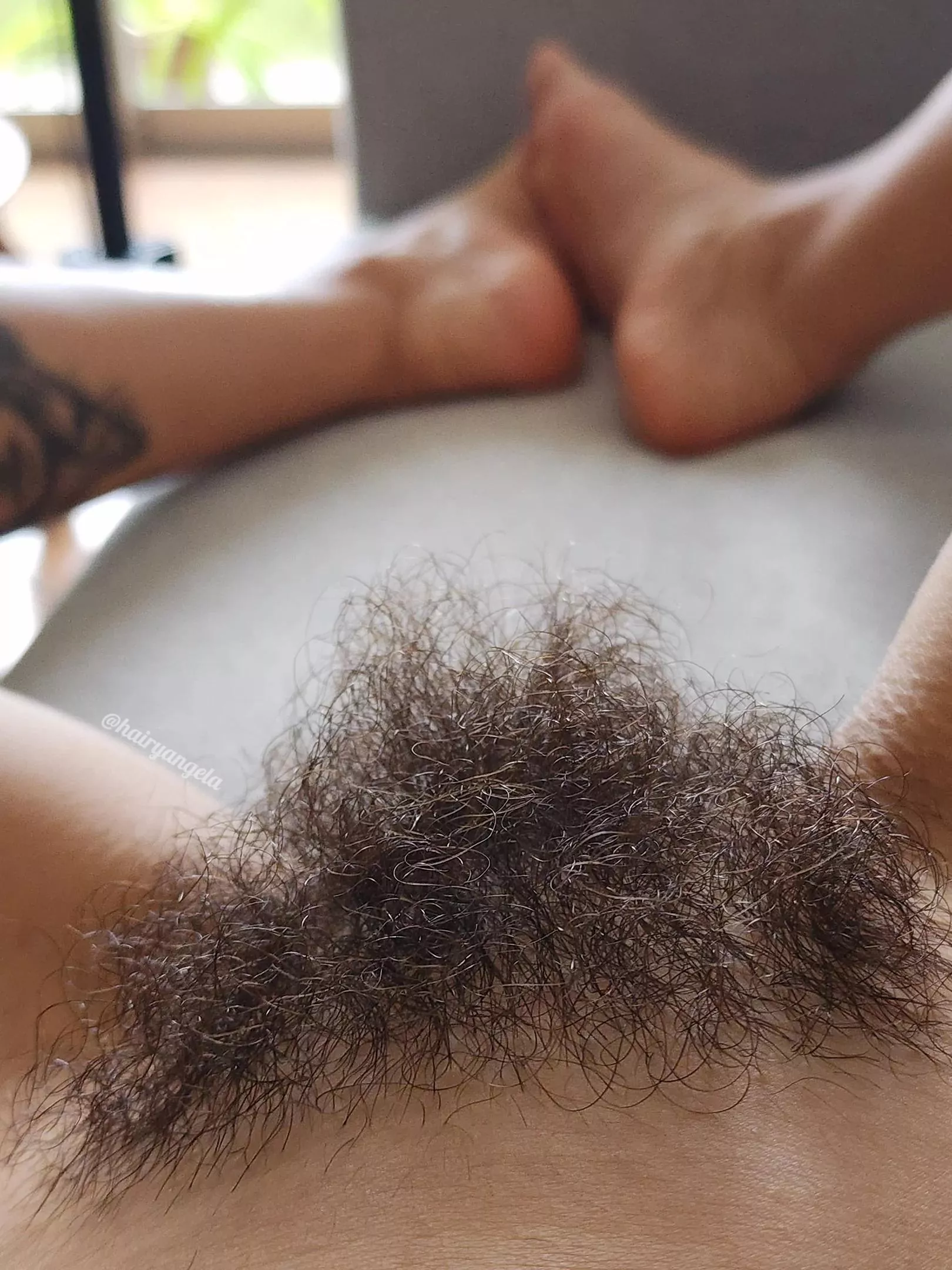 Hairy enough to tickle your nose