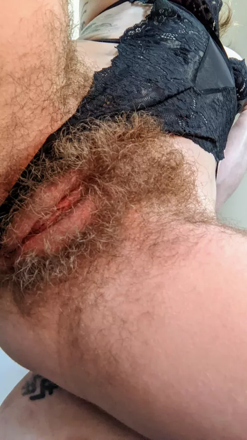 I'm gonna sit on your face....