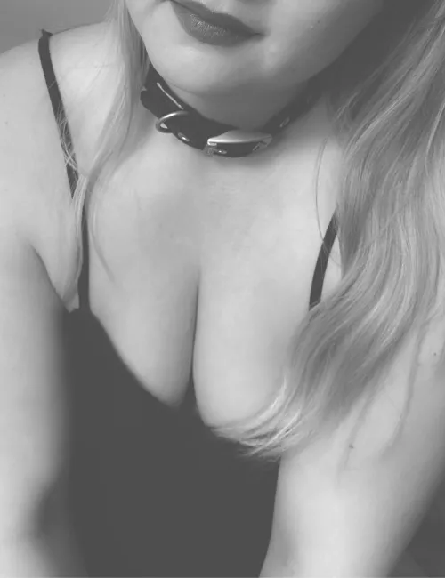 It’s the dog collar for me today. Into the cage later.