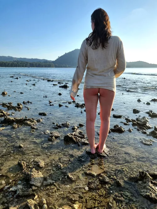 Just enjoying the sunset ☀️ OC