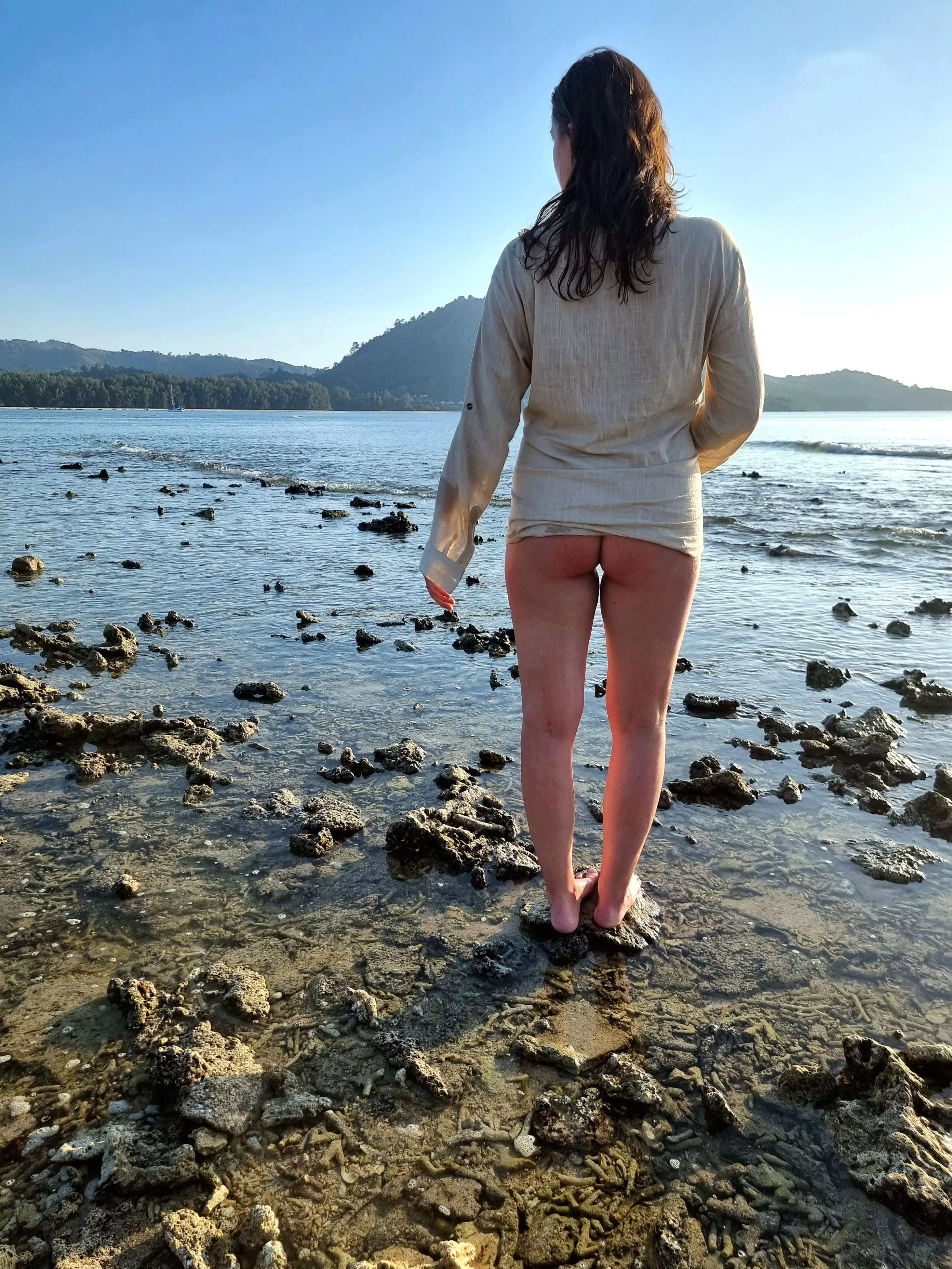 Just enjoying the sunset ☀️ OC