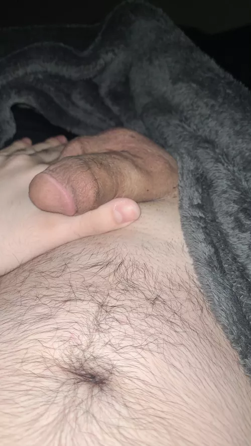 Little late and about to sleep, but have a nice, flaccid pic of my freshly groomed dick~ see you pervs in the morning~