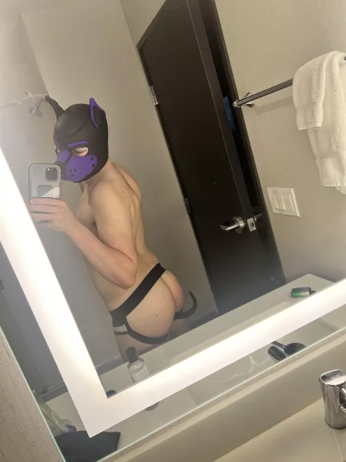 My tail makes me whole 😌