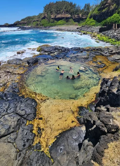Natural pool