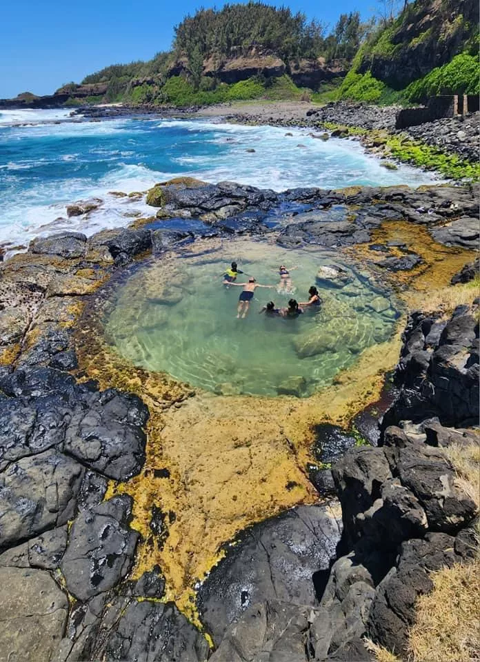 Natural pool