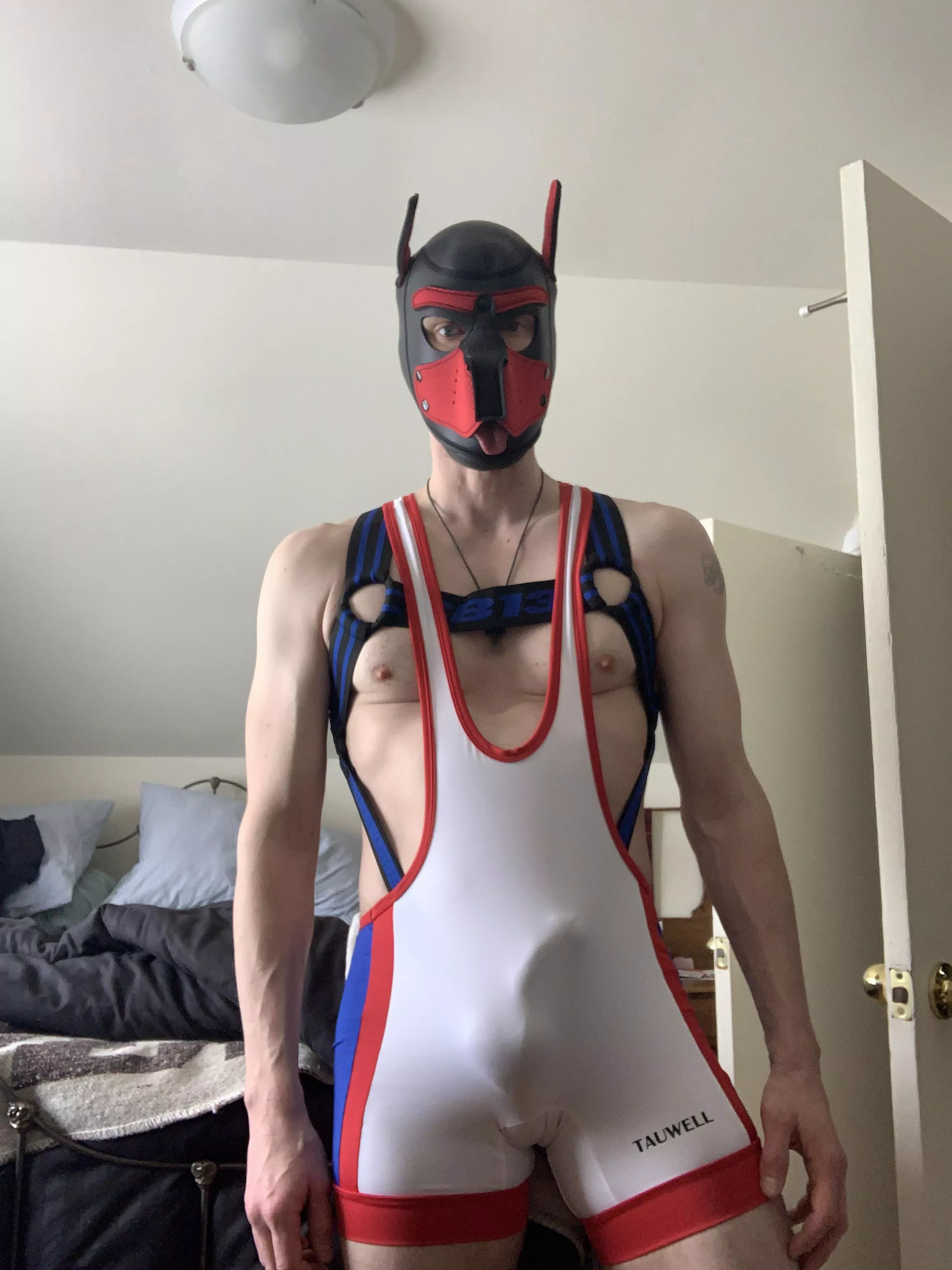Pup looking for other pups