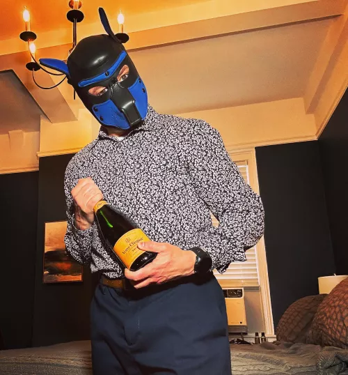 Ready for Sunday Pup Brunch?