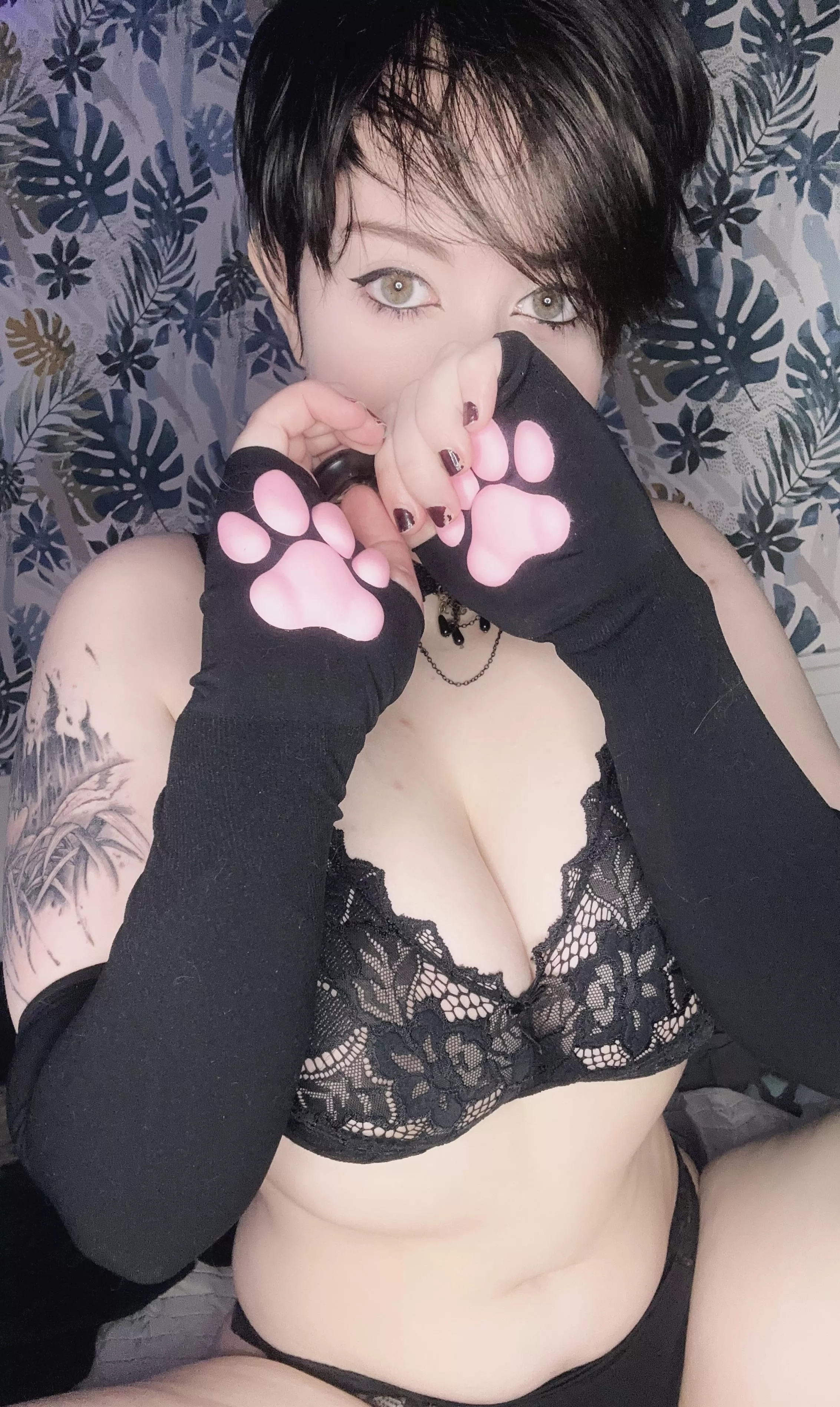 ready to meow and moan just for you🫣