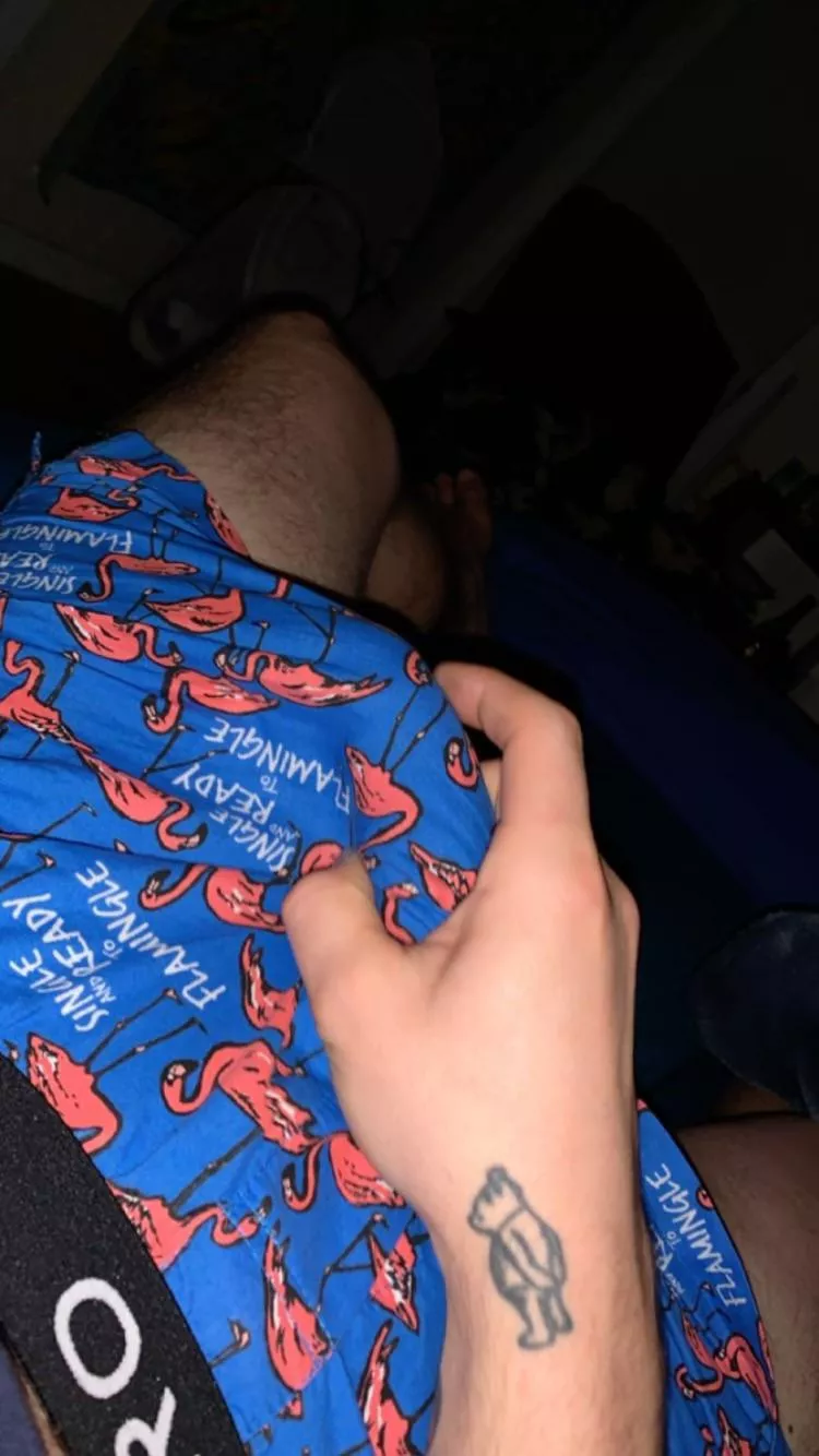 Seattle boxers, anyone wanna hang today and sag/pants each other?