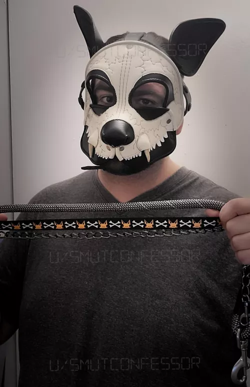 Taking you for a walk! Pick your lead!