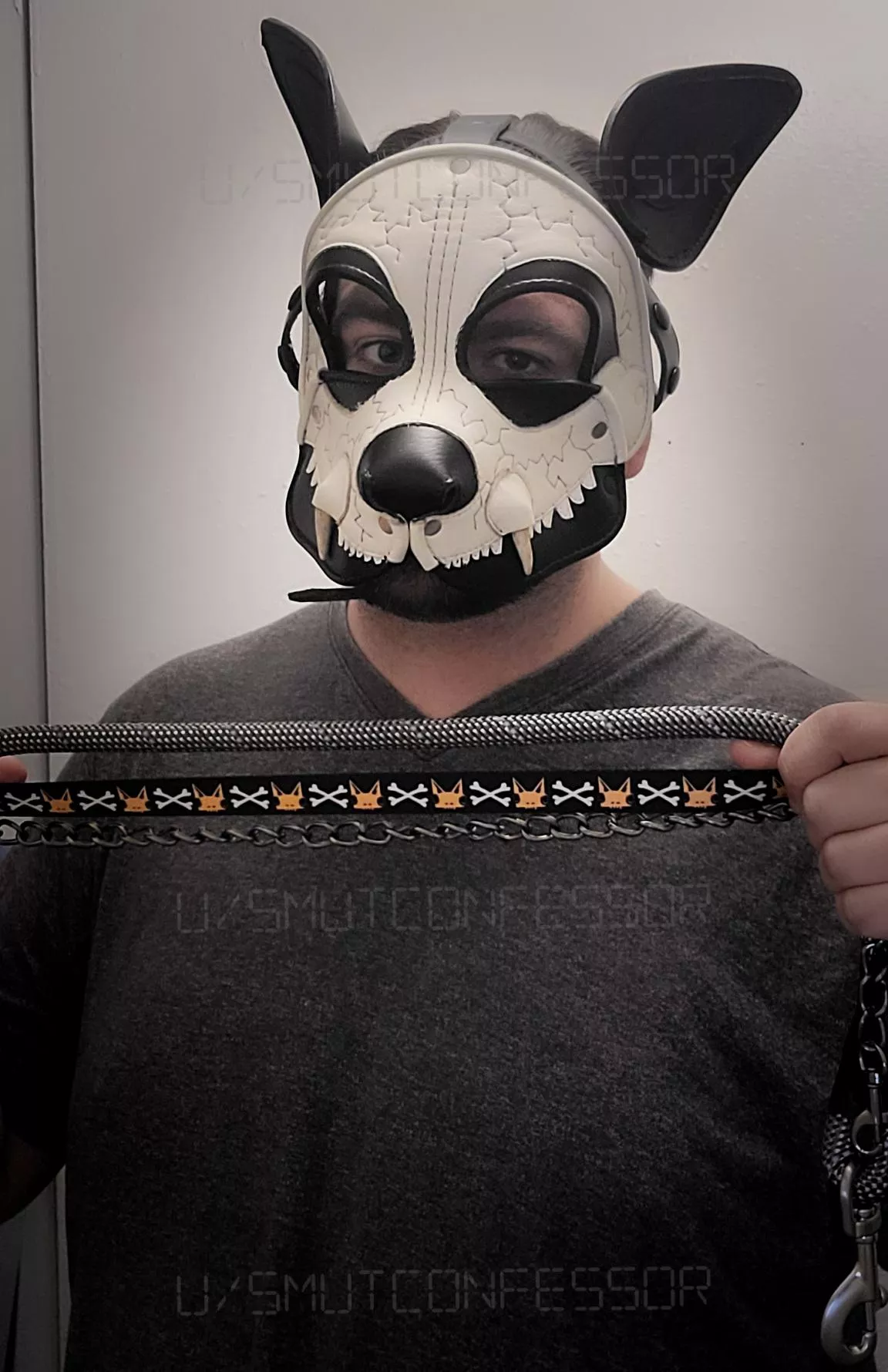 Taking you for a walk! Pick your lead!