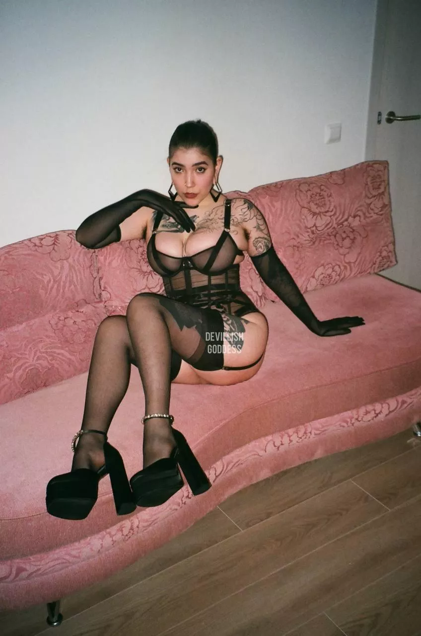 What would you do to be able to worship My Heel every morning?