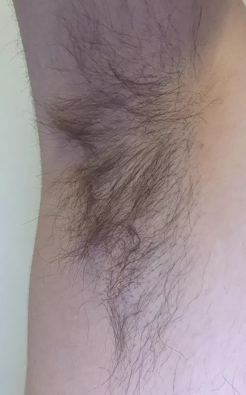 Who wants to smell a Police Officer's pits? Sweaty and hairy pits