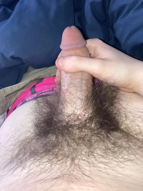 19M Bushy softie
