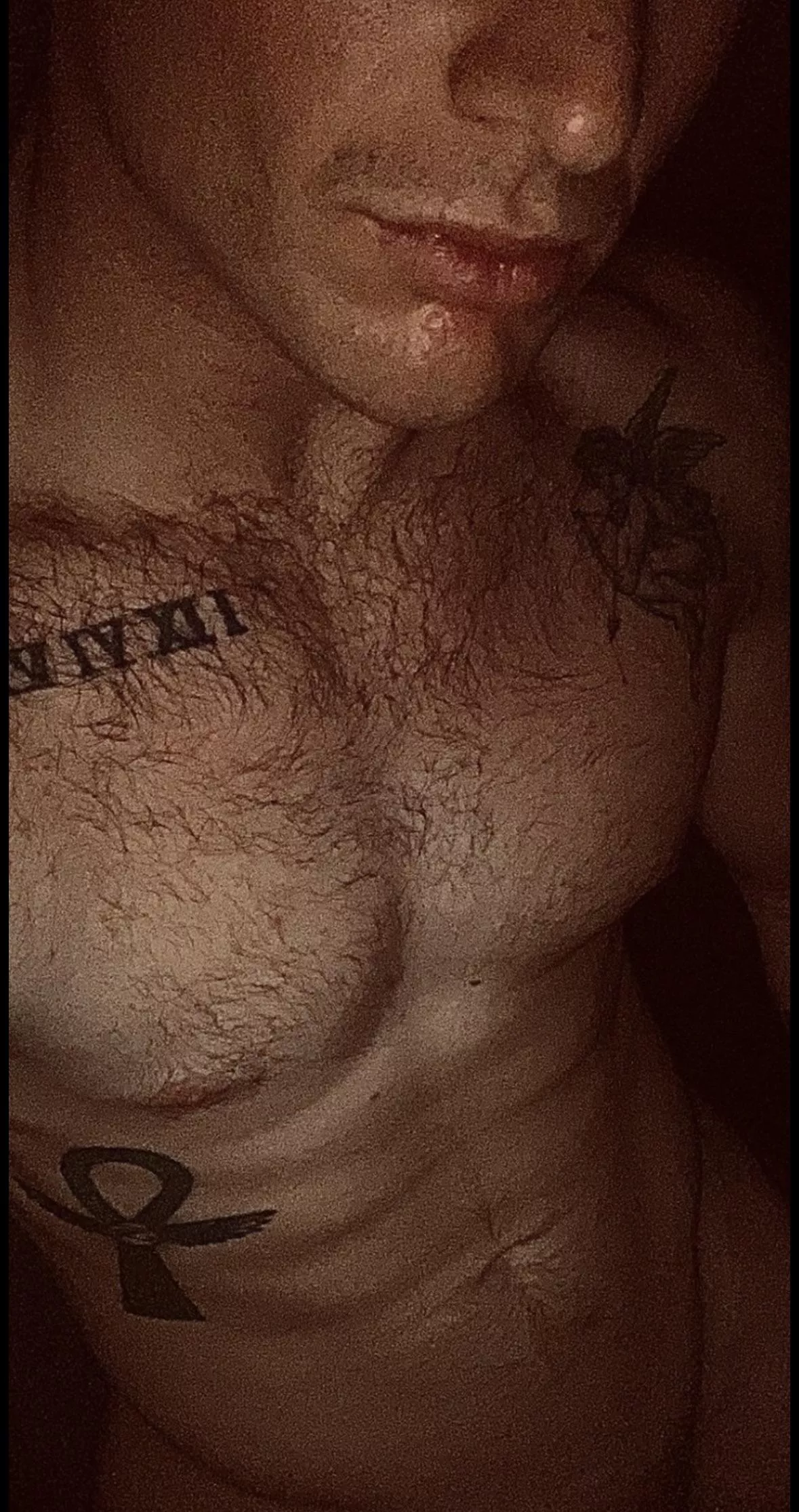 27M experienced bull for hotwife in Raleigh, NC.