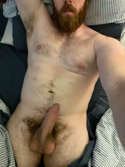 29, 6’5”, bi, and begging for someone to let me please them with my thick cock, thick beard, or fat ass. What’s your choice?