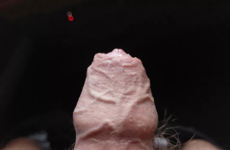 Anyone like veiny foreskin?