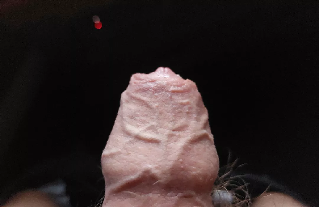 Anyone like veiny foreskin?