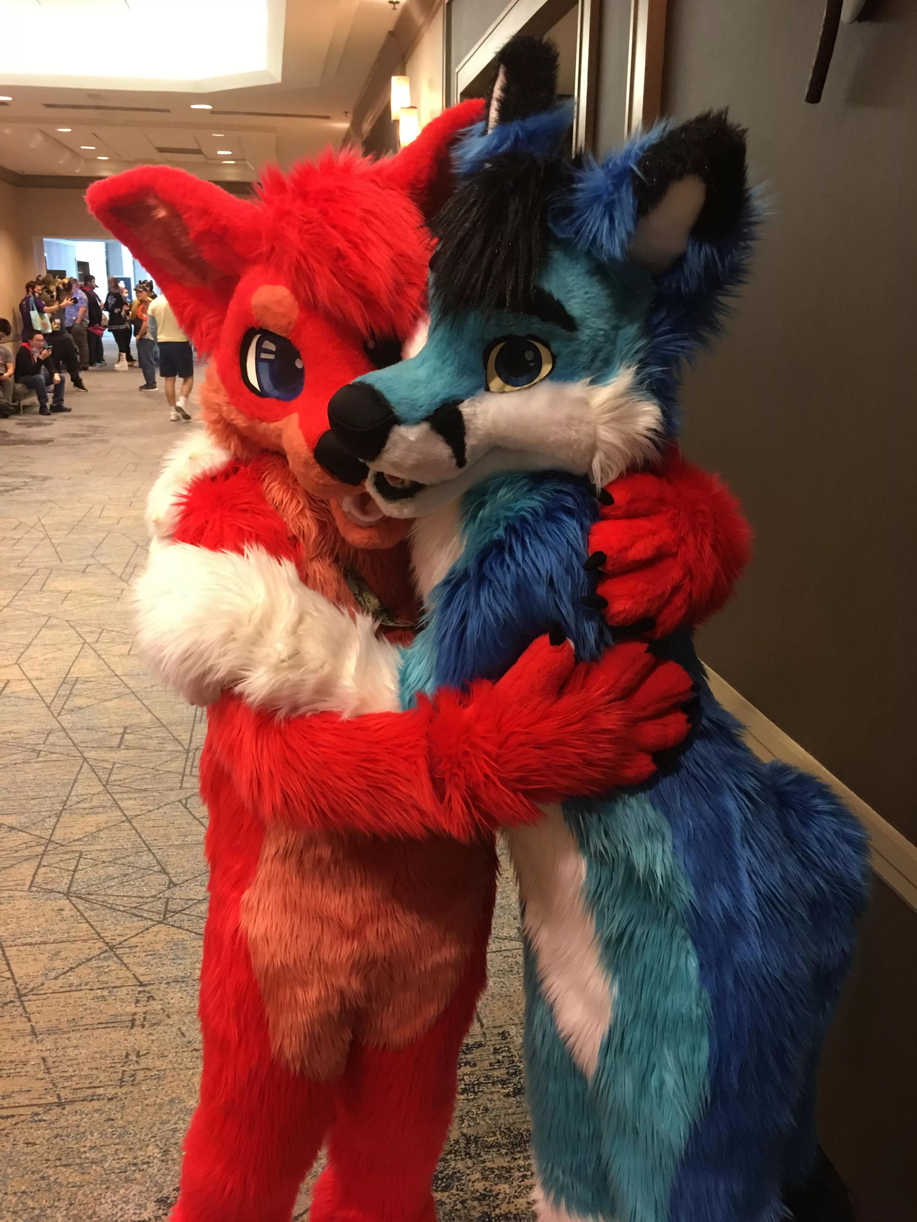 Flame and glacier foxes hugging each other at TFF 2023. Feat. @ZethinFox.