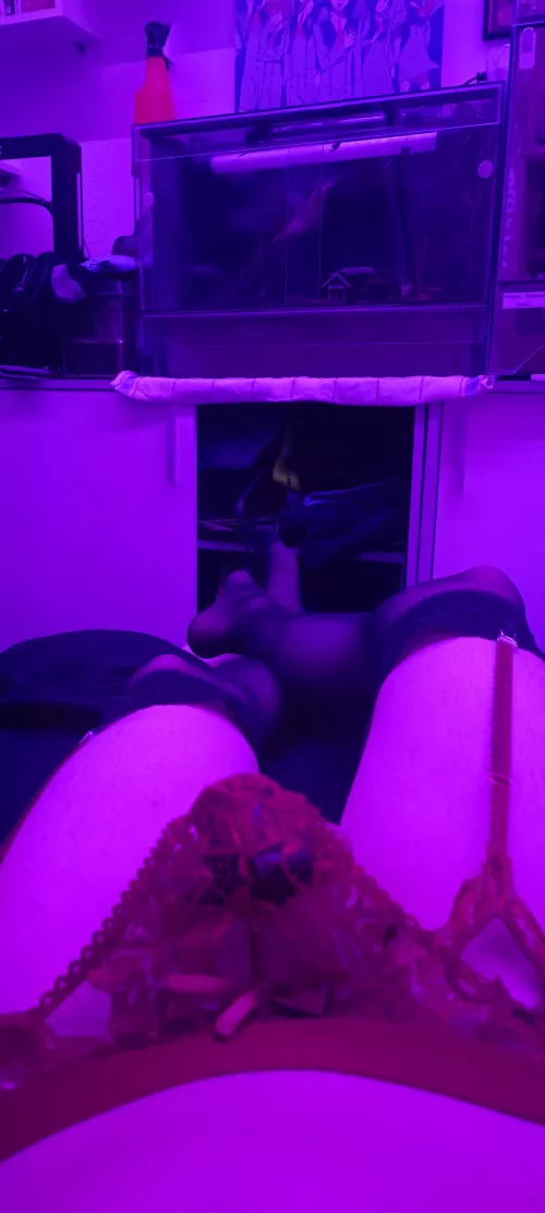 Got challenged to do some long term chastity:3