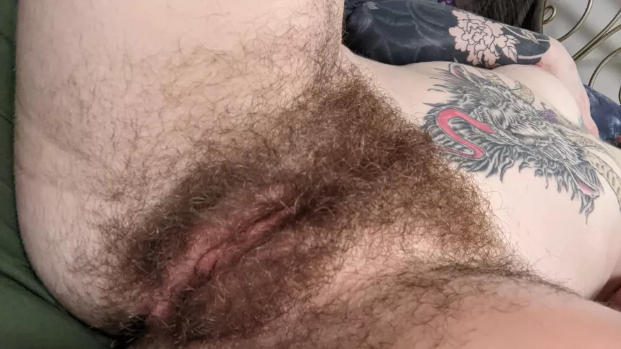 How many licks do you think it takes to get to the centre?