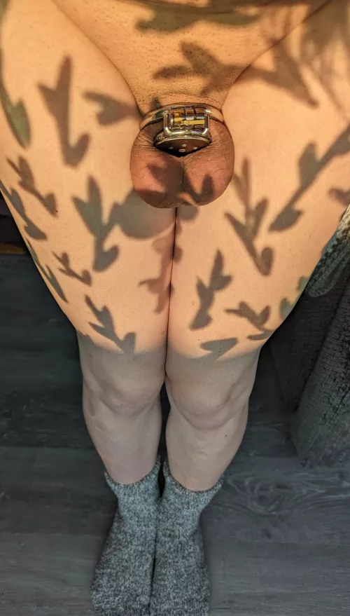 I feel so pretty locked up