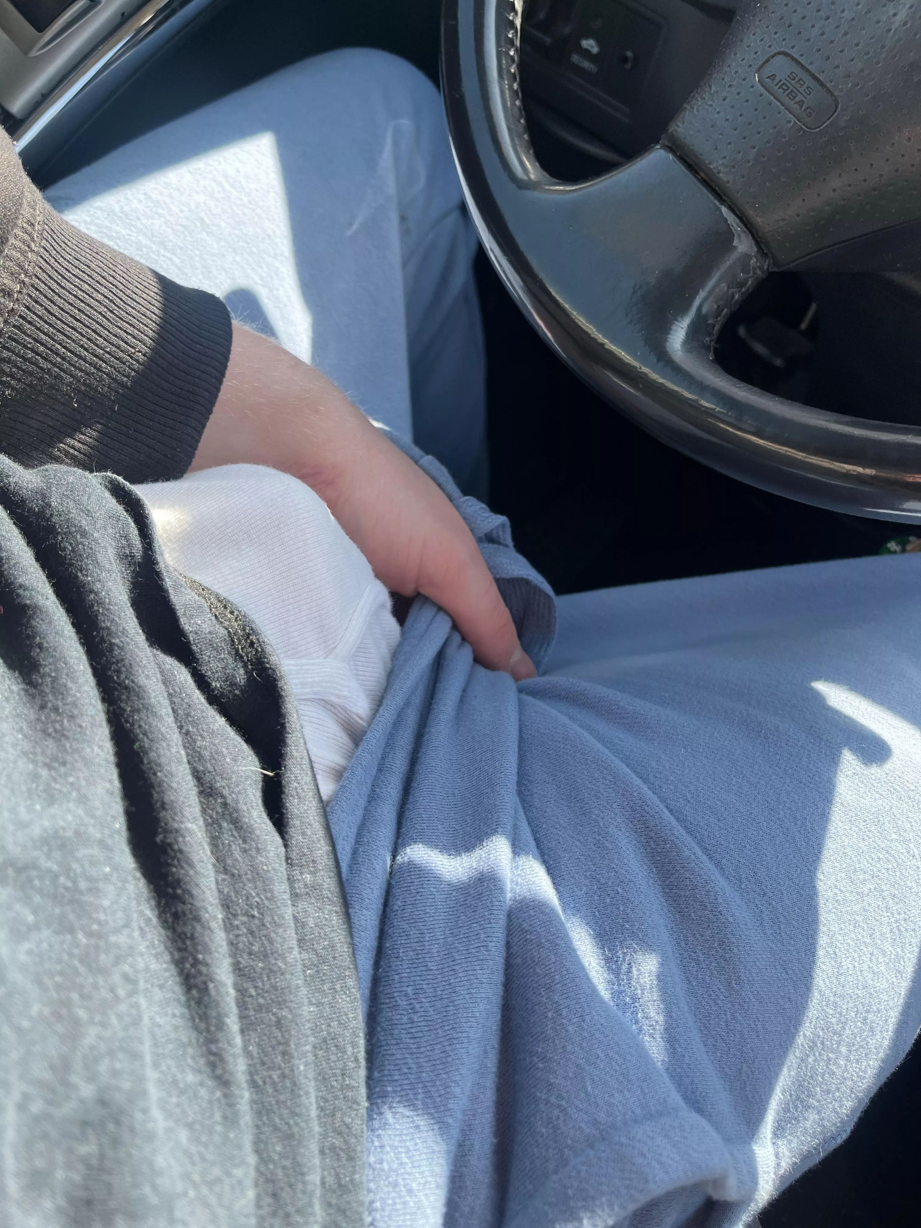 Looks like my little buddy is excited to be in the car