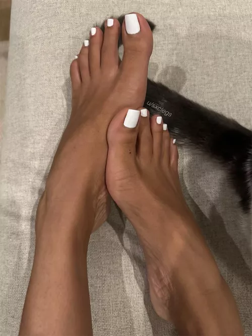 My cat didn’t want to move