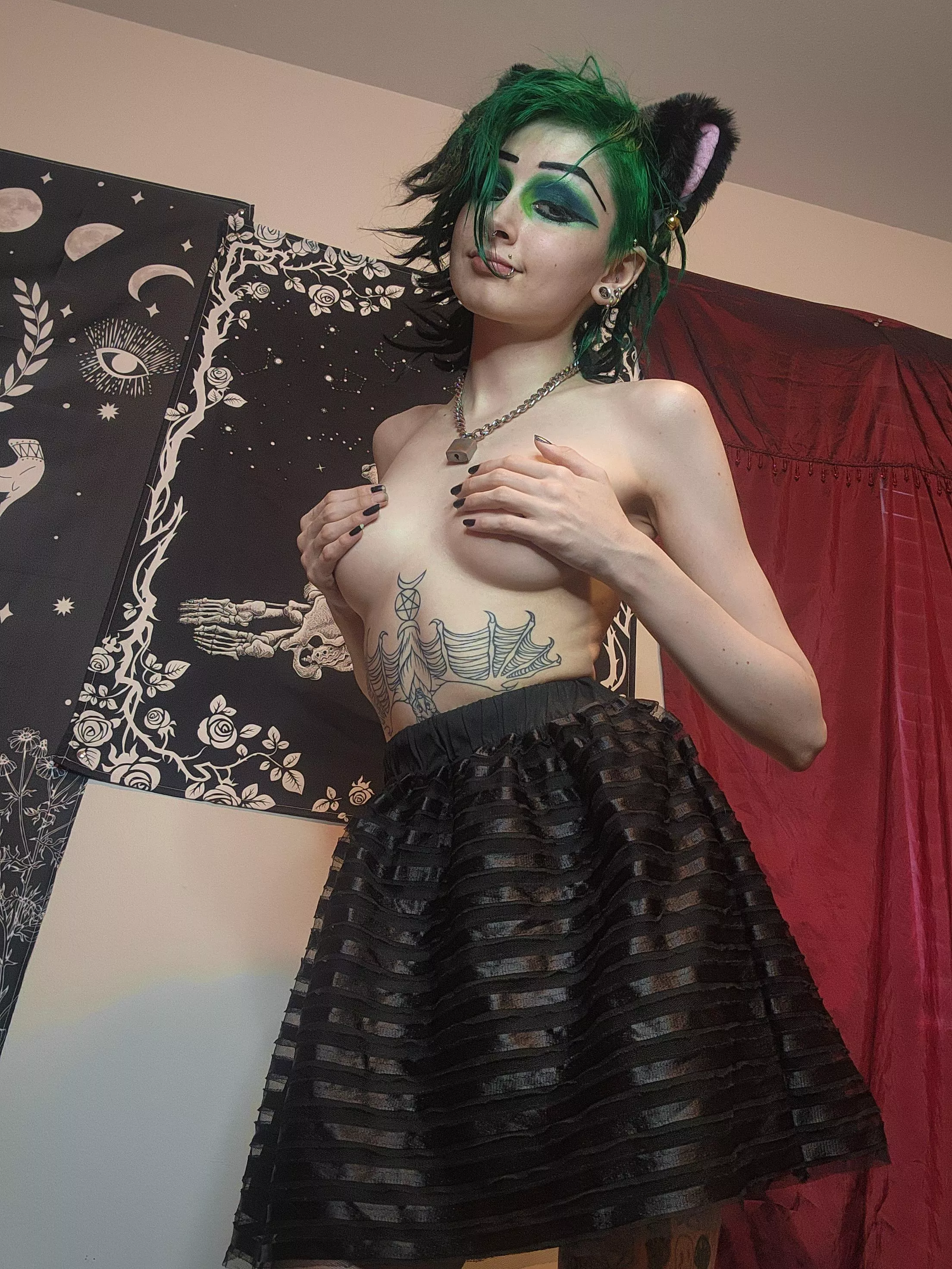 pale goth kitten🖤