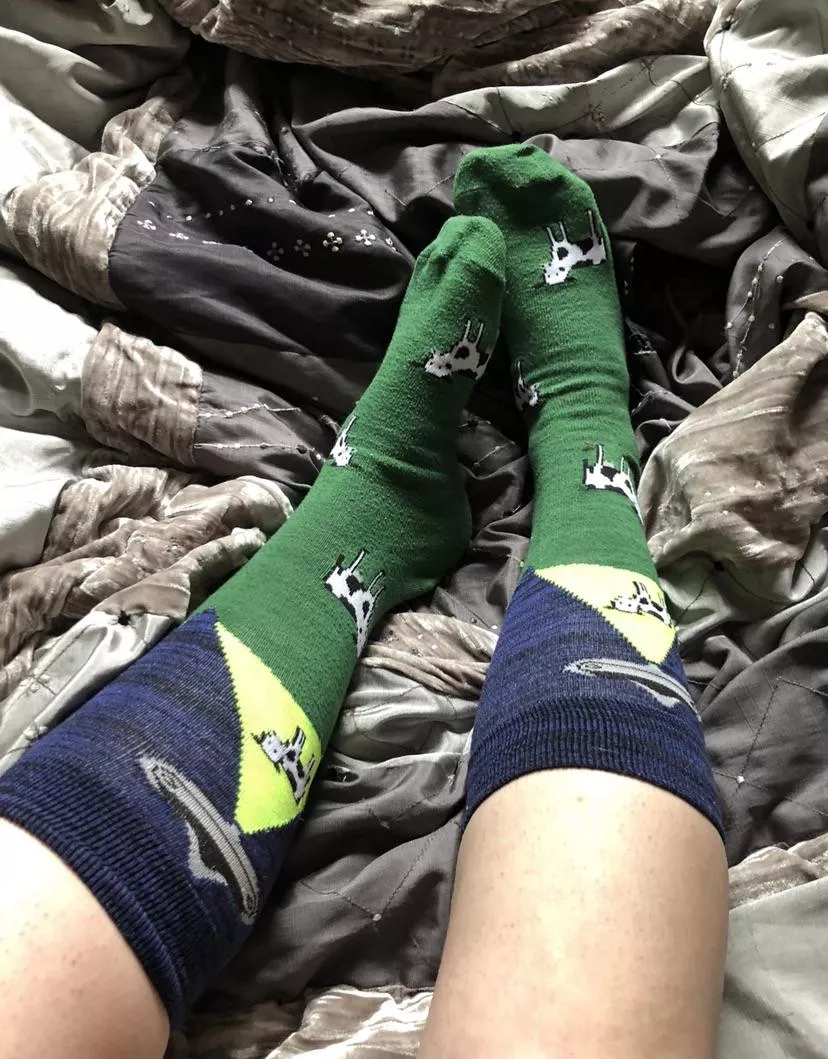 Some of my favorite socks [Female]